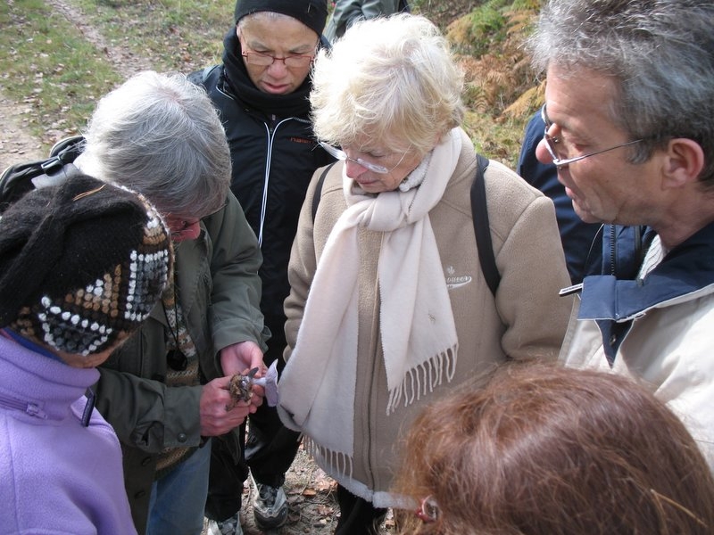 2006 11 Mycobocquet 19